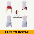 Hvit stoltrekk (leie) thumbnail