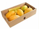 Mango honning ca . 2kg thumbnail