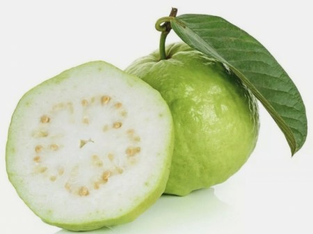 Guava 